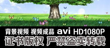 大树爆料视频大全下载